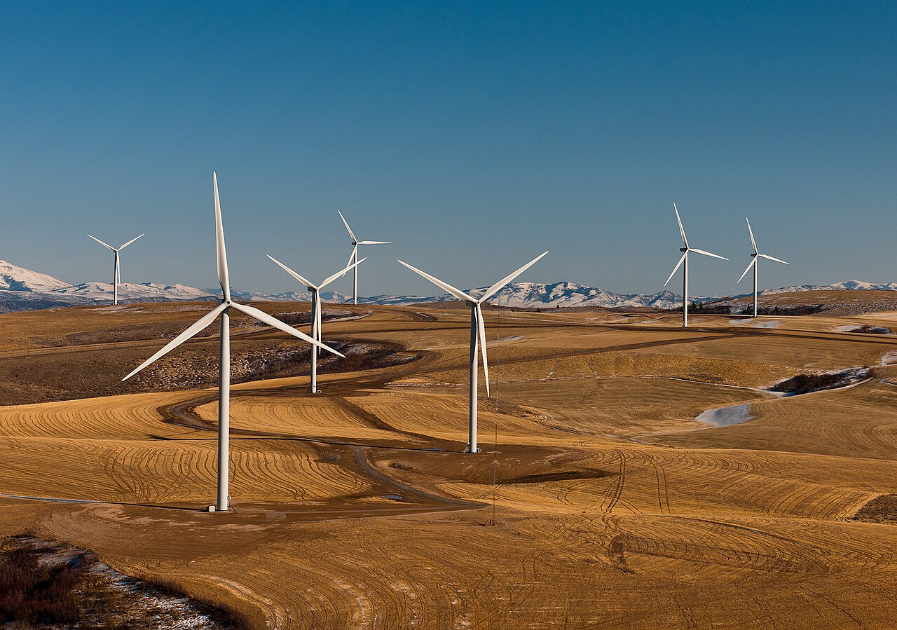 Input: wind farm under a blue sky